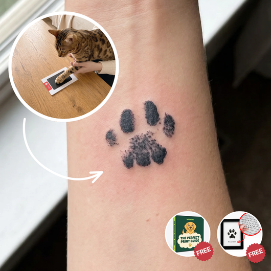 The Purrrfect Print Tattoo Bundle