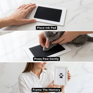 The Purrfect Print Kit